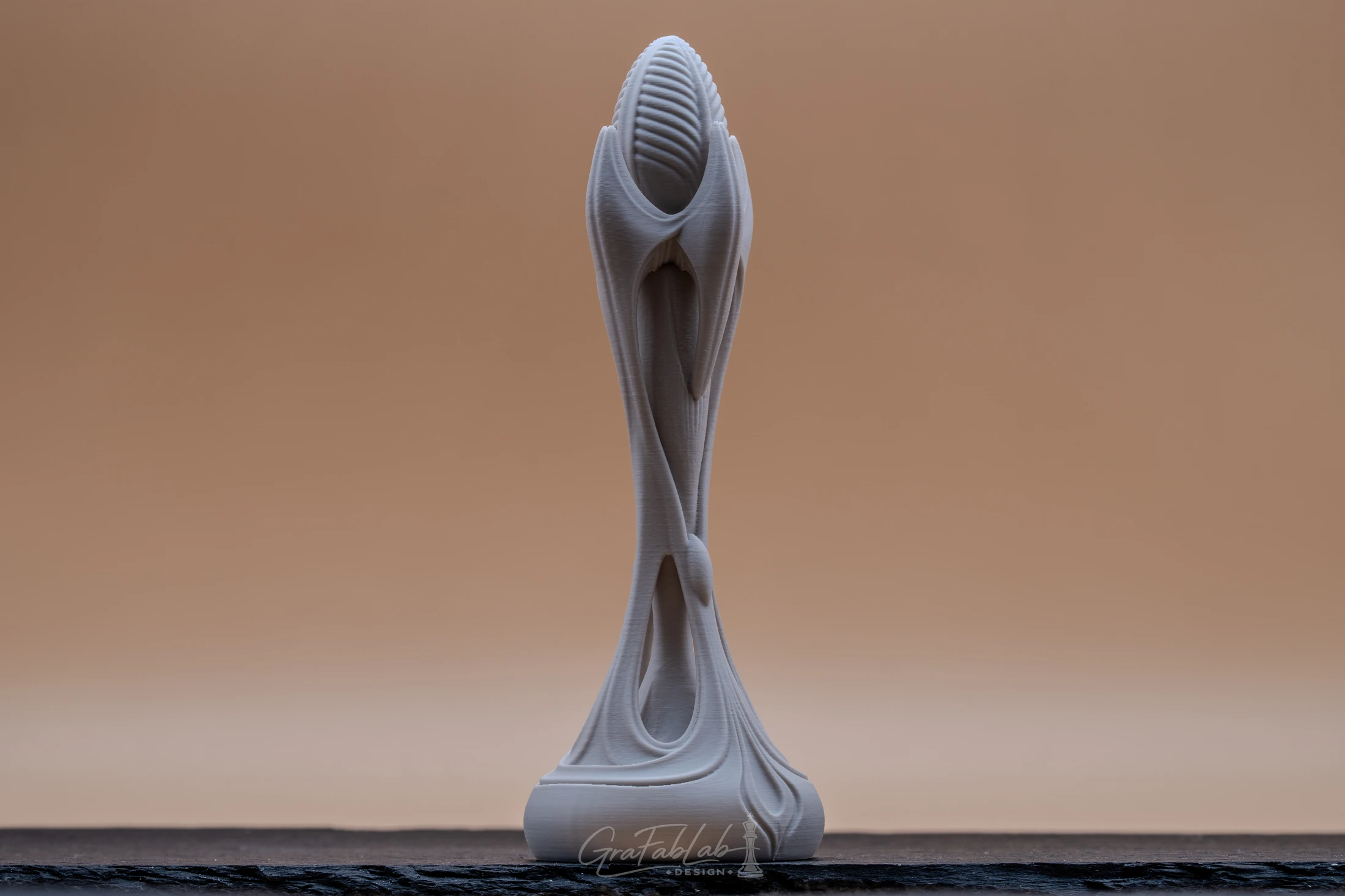 GraFabLab Sculpture 008 - Photo 2