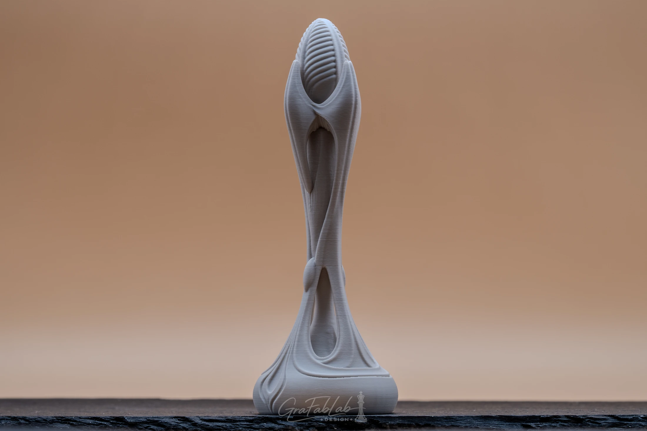 GraFabLab Sculpture 008 - Photo 3