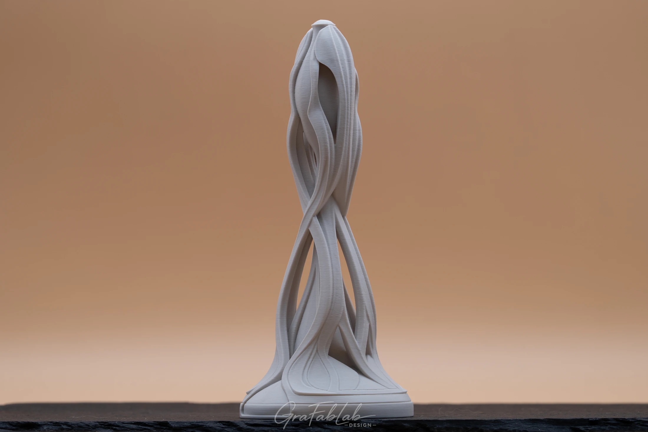 GraFabLab Sculpture 011 - Photo 3