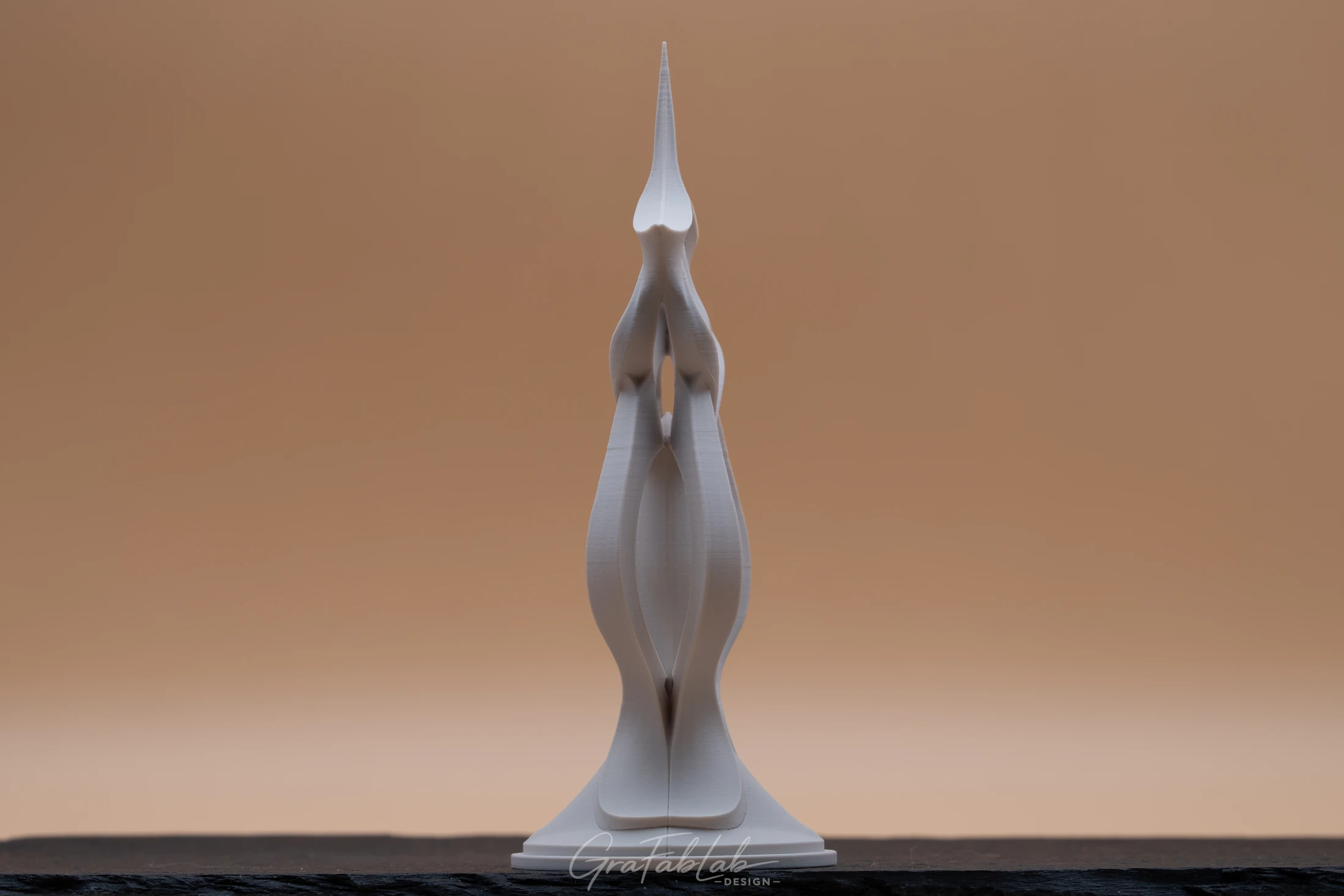 GraFabLab Sculpture 023 - Photo 2