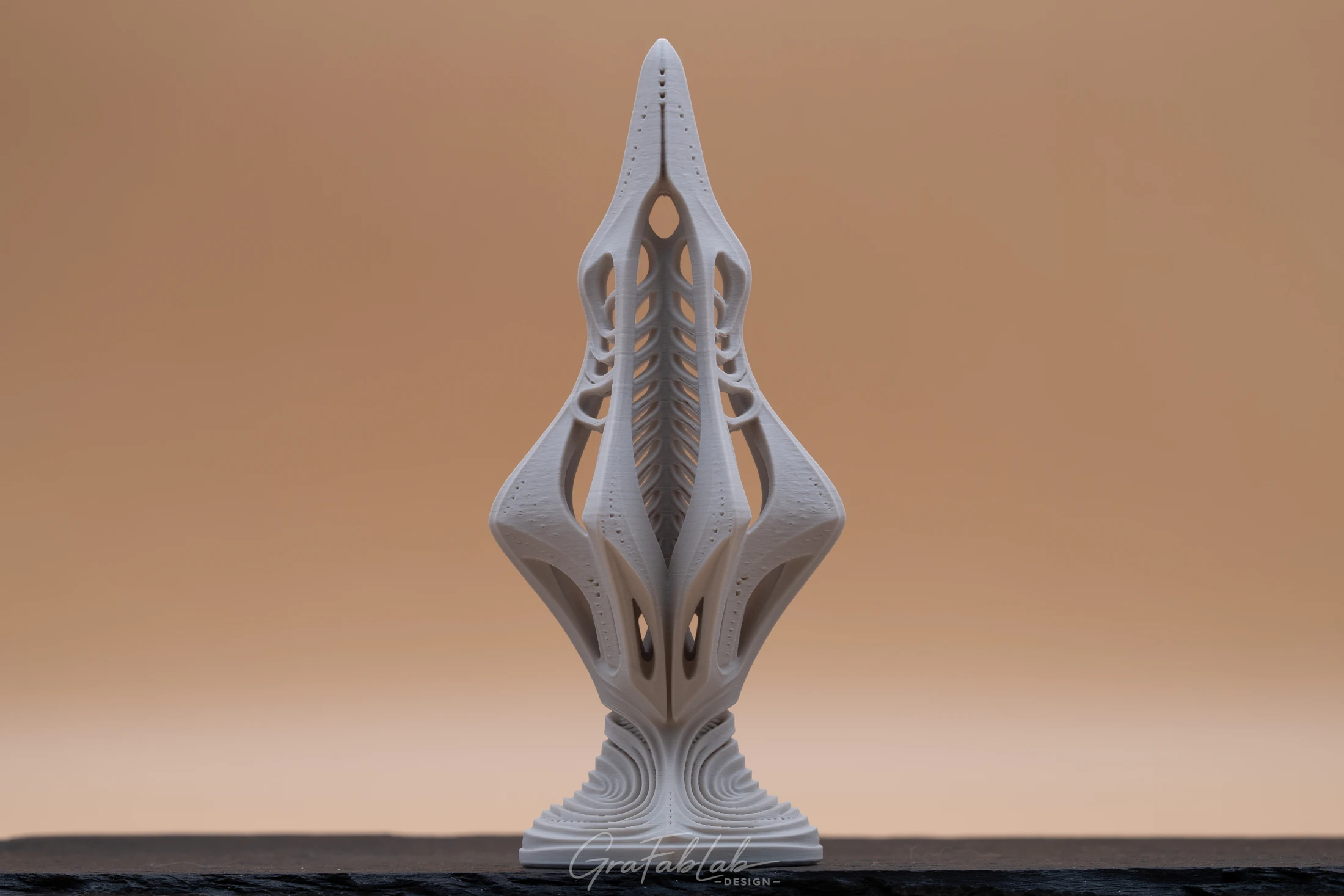 GraFabLab Sculpture 024 - Photo 1