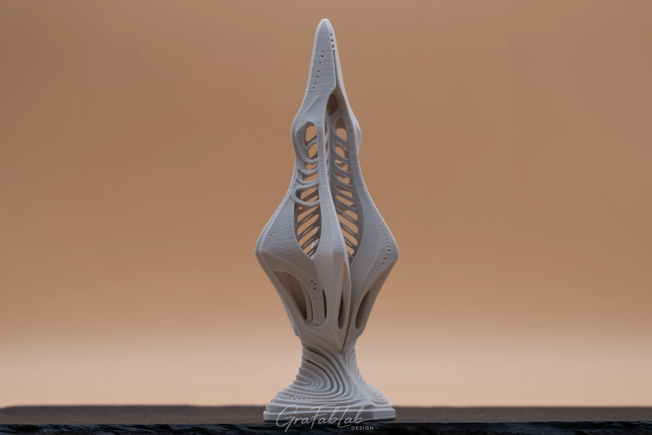 GraFabLab Sculpture 024 - Photo 3