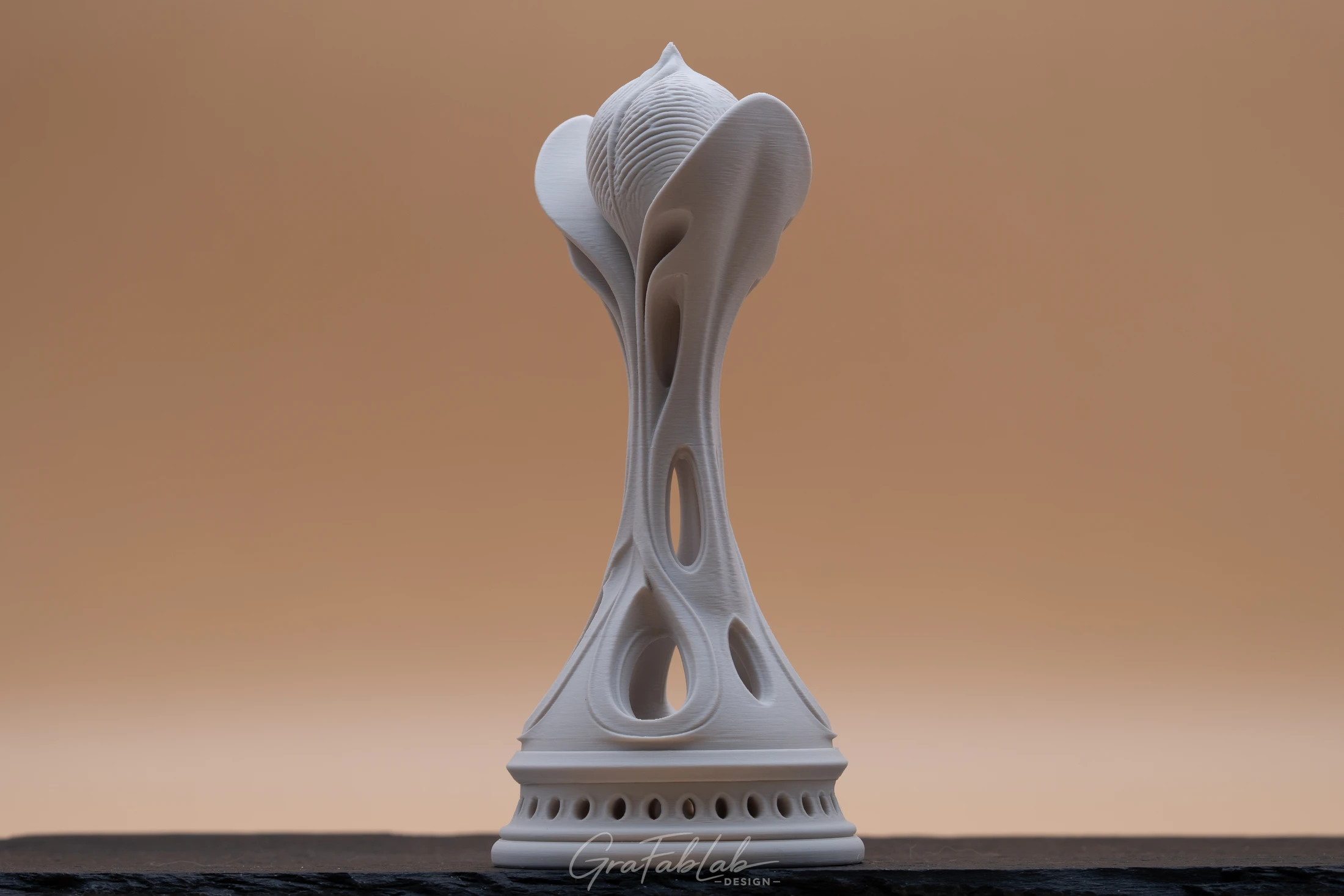 GraFabLab Sculpture 028 - Photo 3