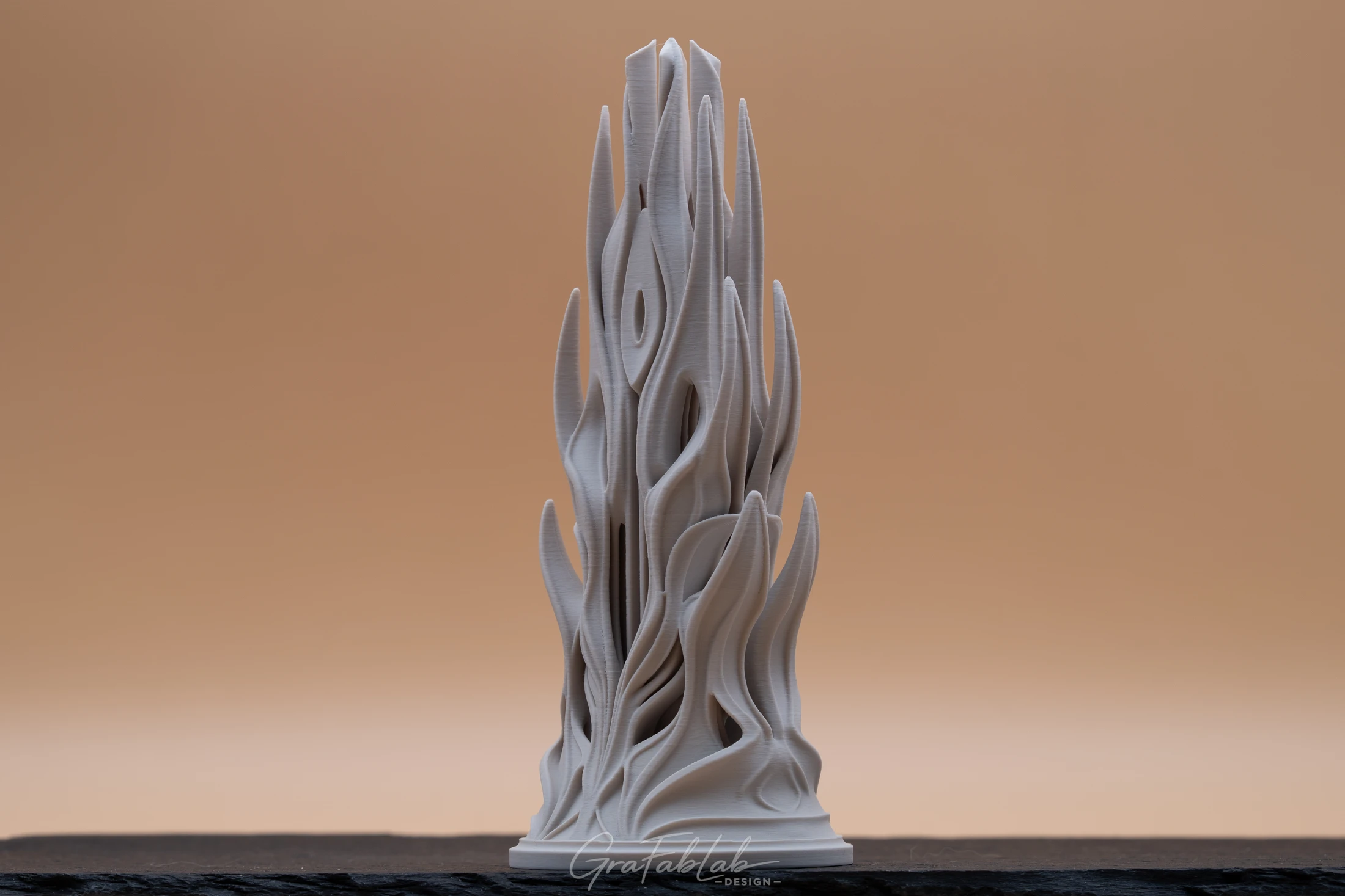 GraFabLab Sculpture 030 - Photo 3