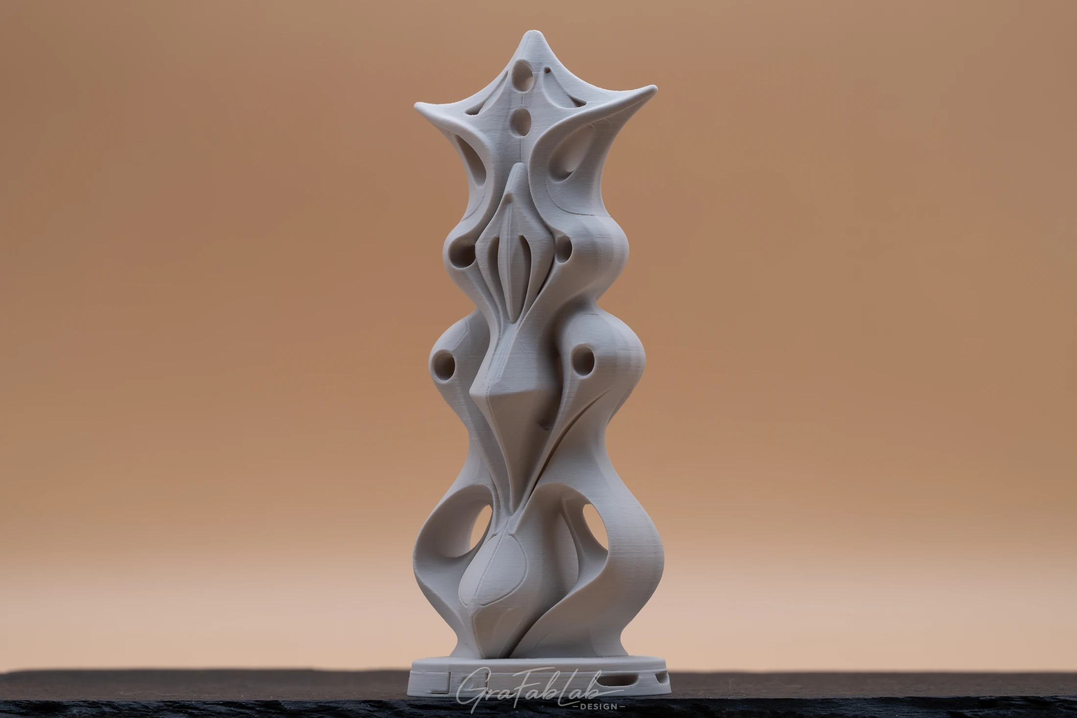 GraFabLab Sculpture 031 - Photo 3