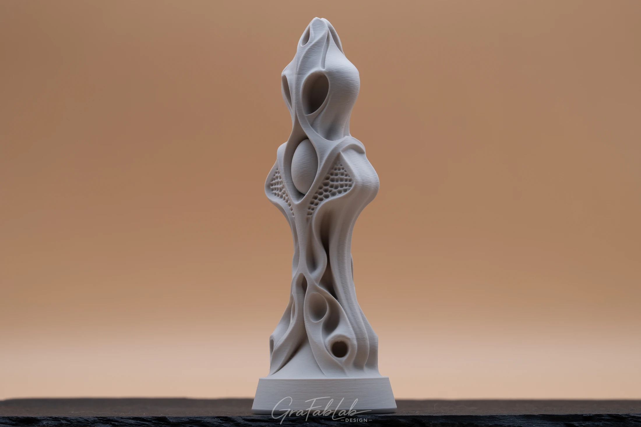 GraFabLab Sculpture 033 - Photo 3