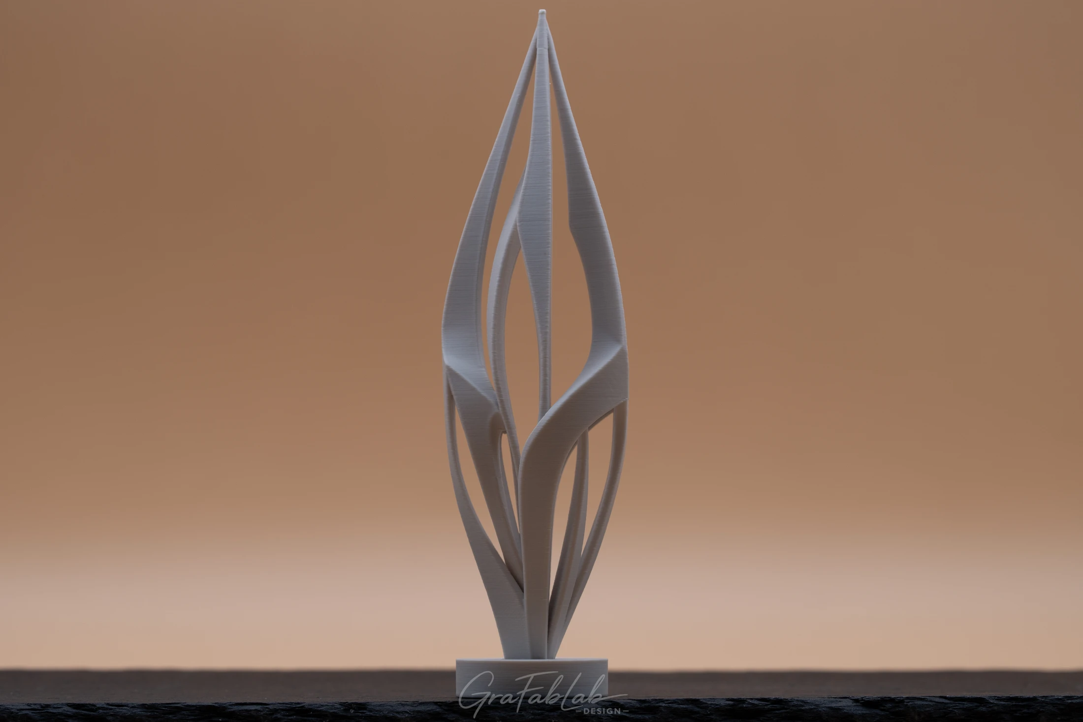 GraFabLab Sculpture 036 - Photo 1