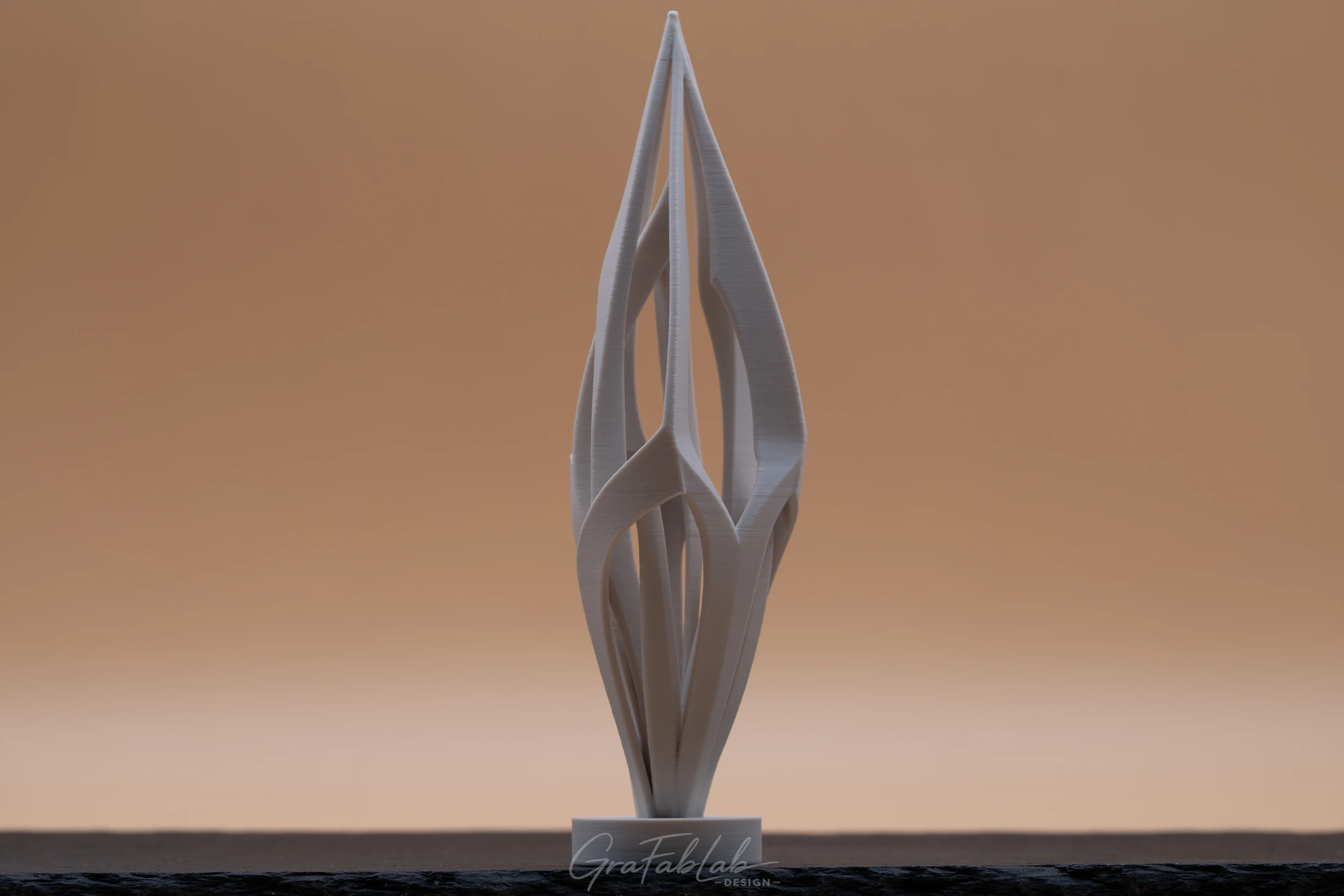 GraFabLab Sculpture 036 - Photo 3