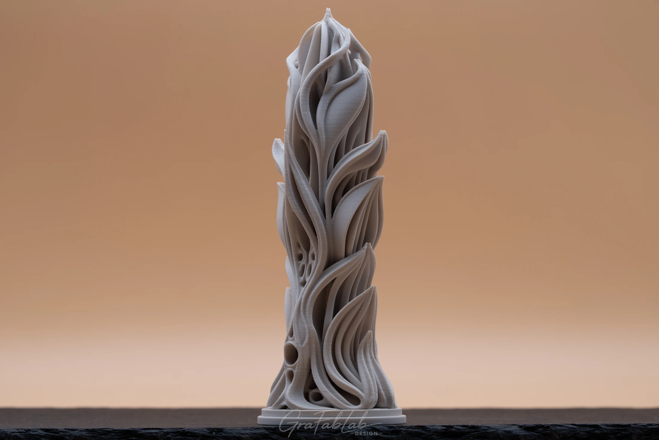 GraFabLab Sculpture 042 - Photo 3