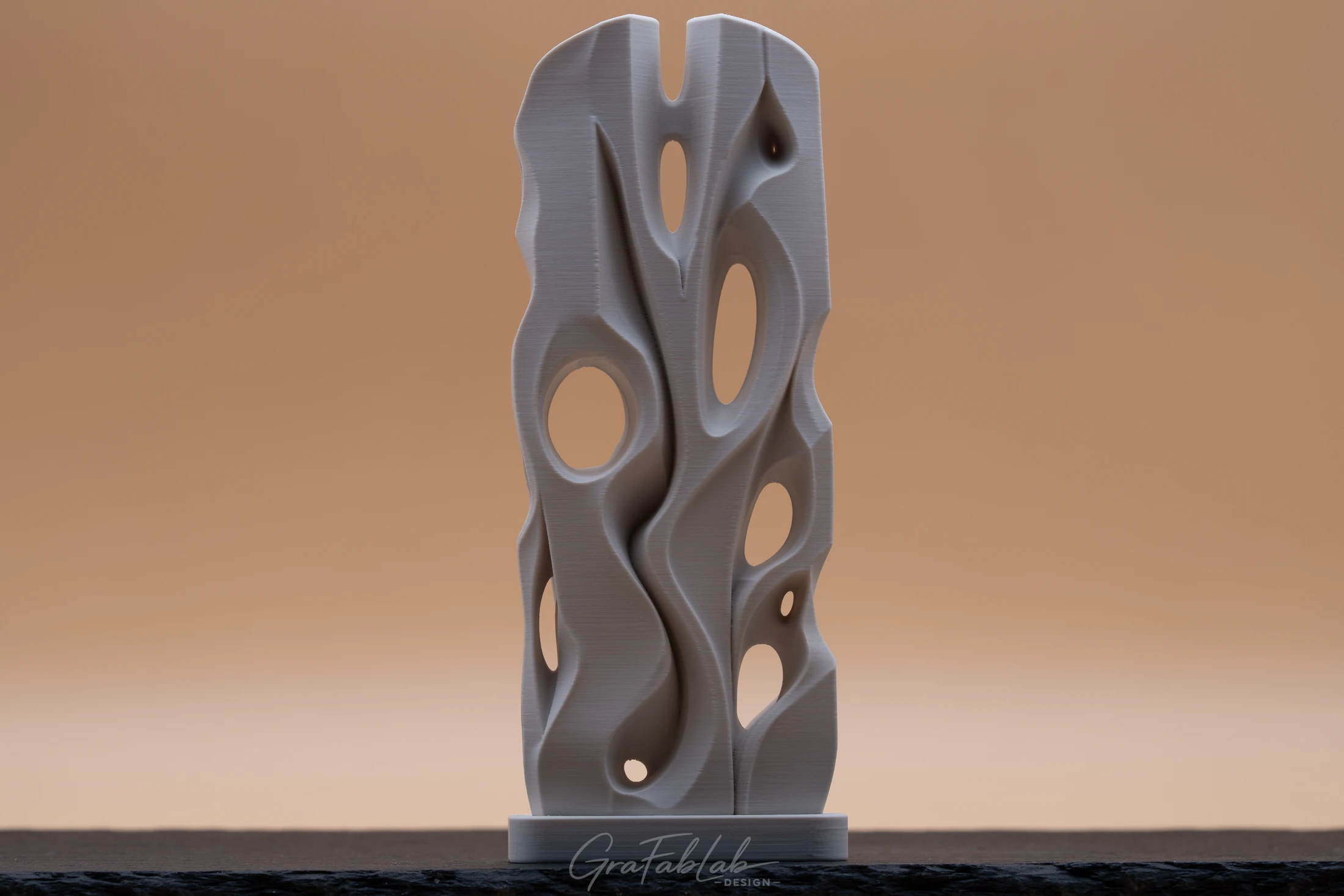 GraFabLab Sculpture 047 - Photo 1