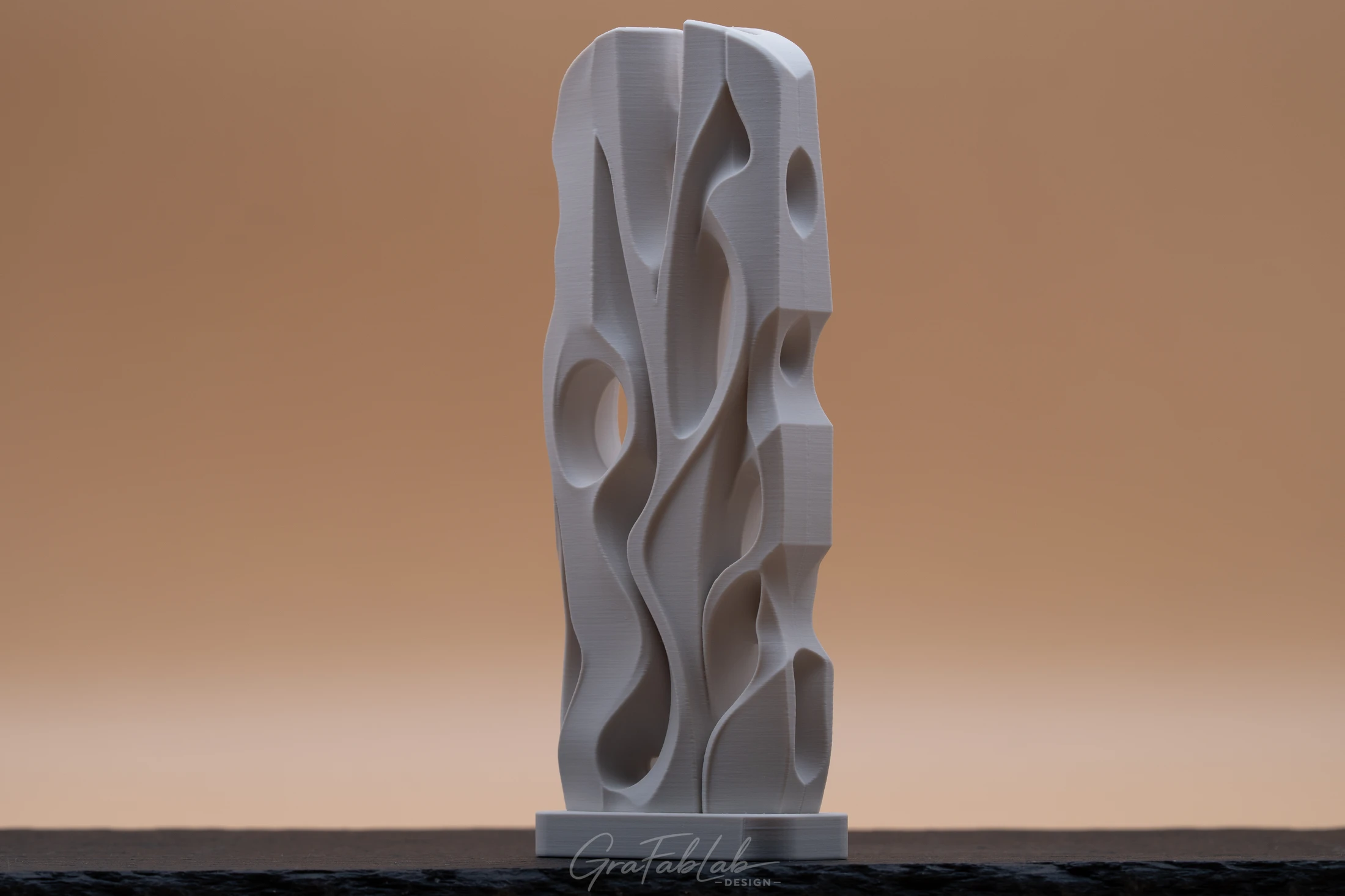 GraFabLab Sculpture 047 - Photo 3