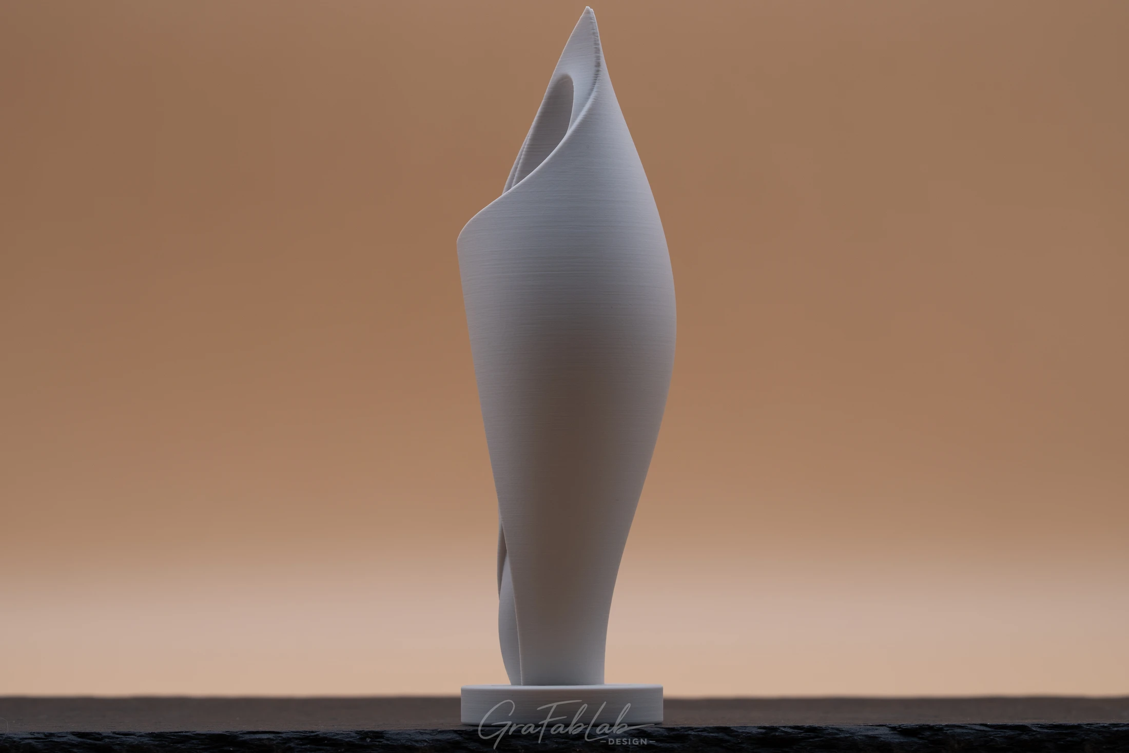 GraFabLab Sculpture 049 - Photo 2