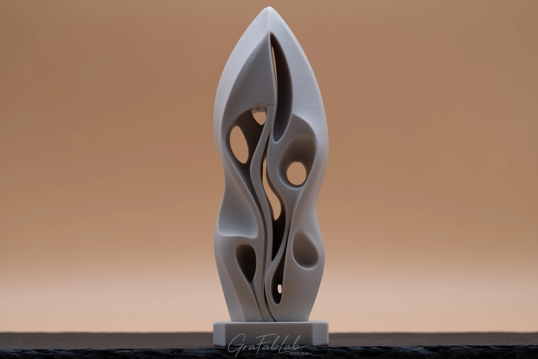 GraFabLab Sculpture 051 - Photo 1