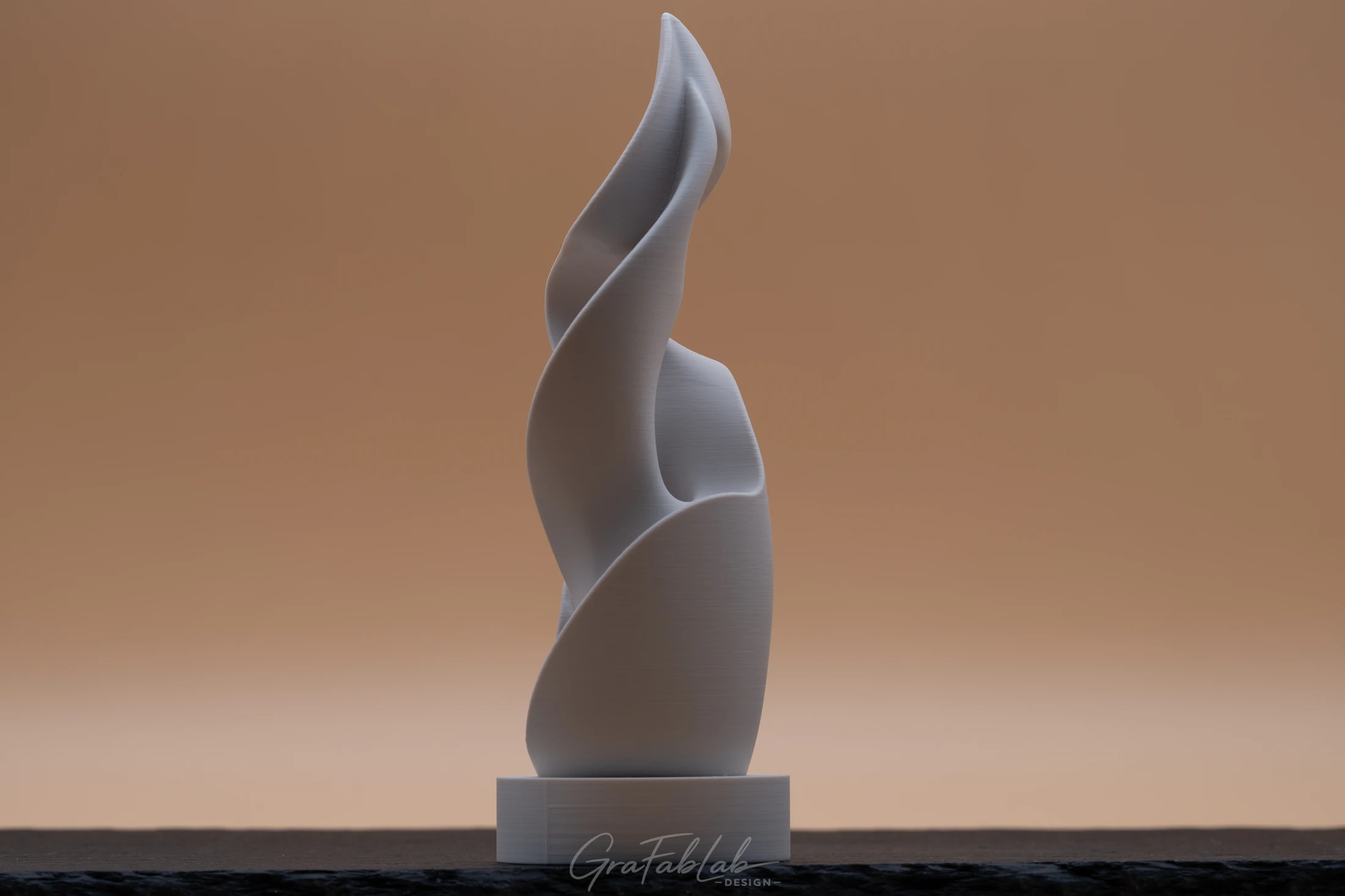 GraFabLab Sculpture 053 - Photo 2