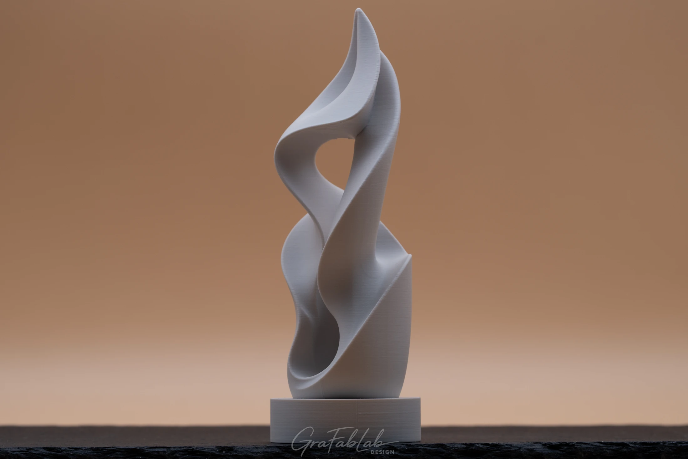 GraFabLab Sculpture 053 - Photo 3