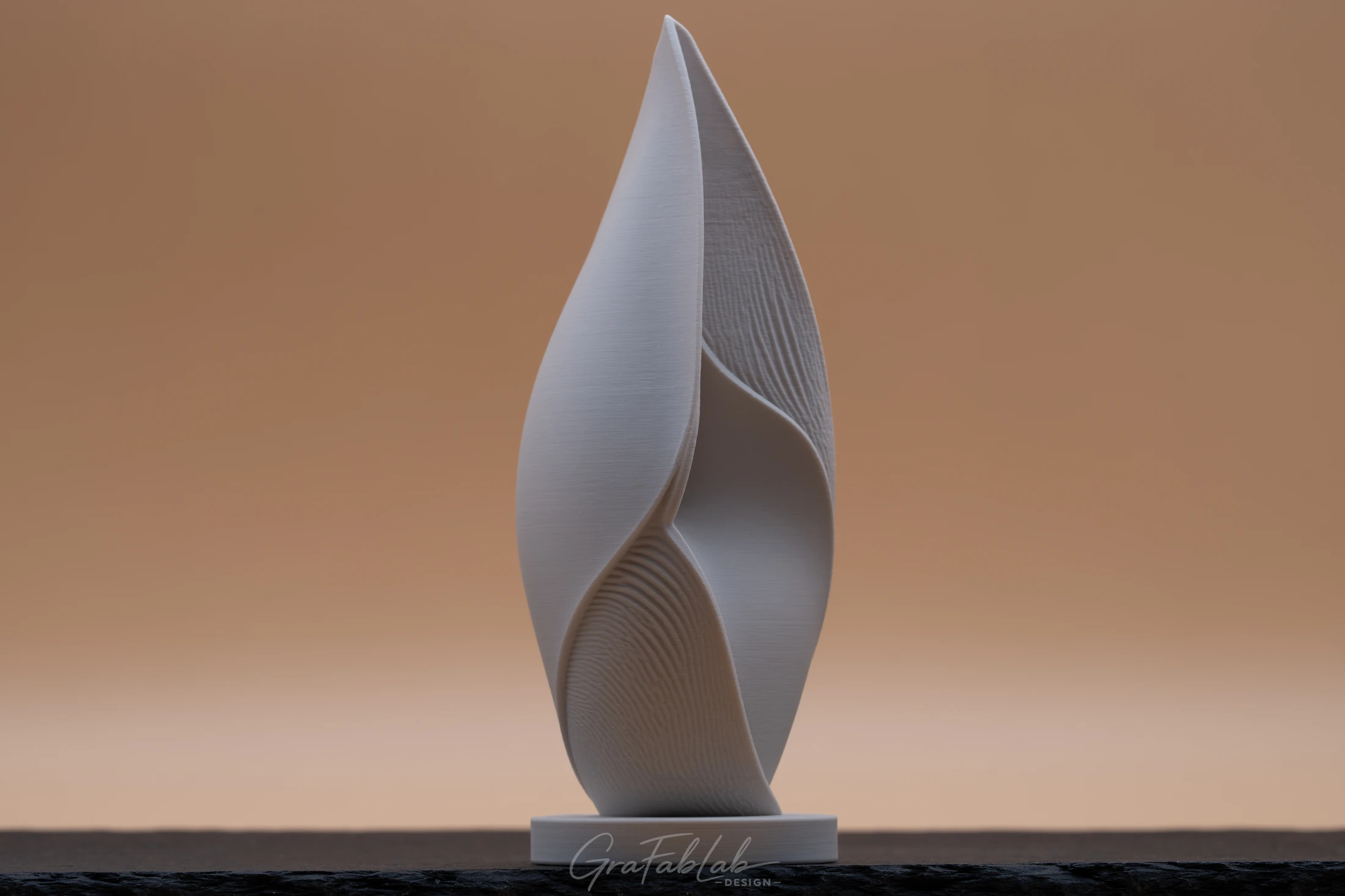 GraFabLab Sculpture 055 - Photo 1