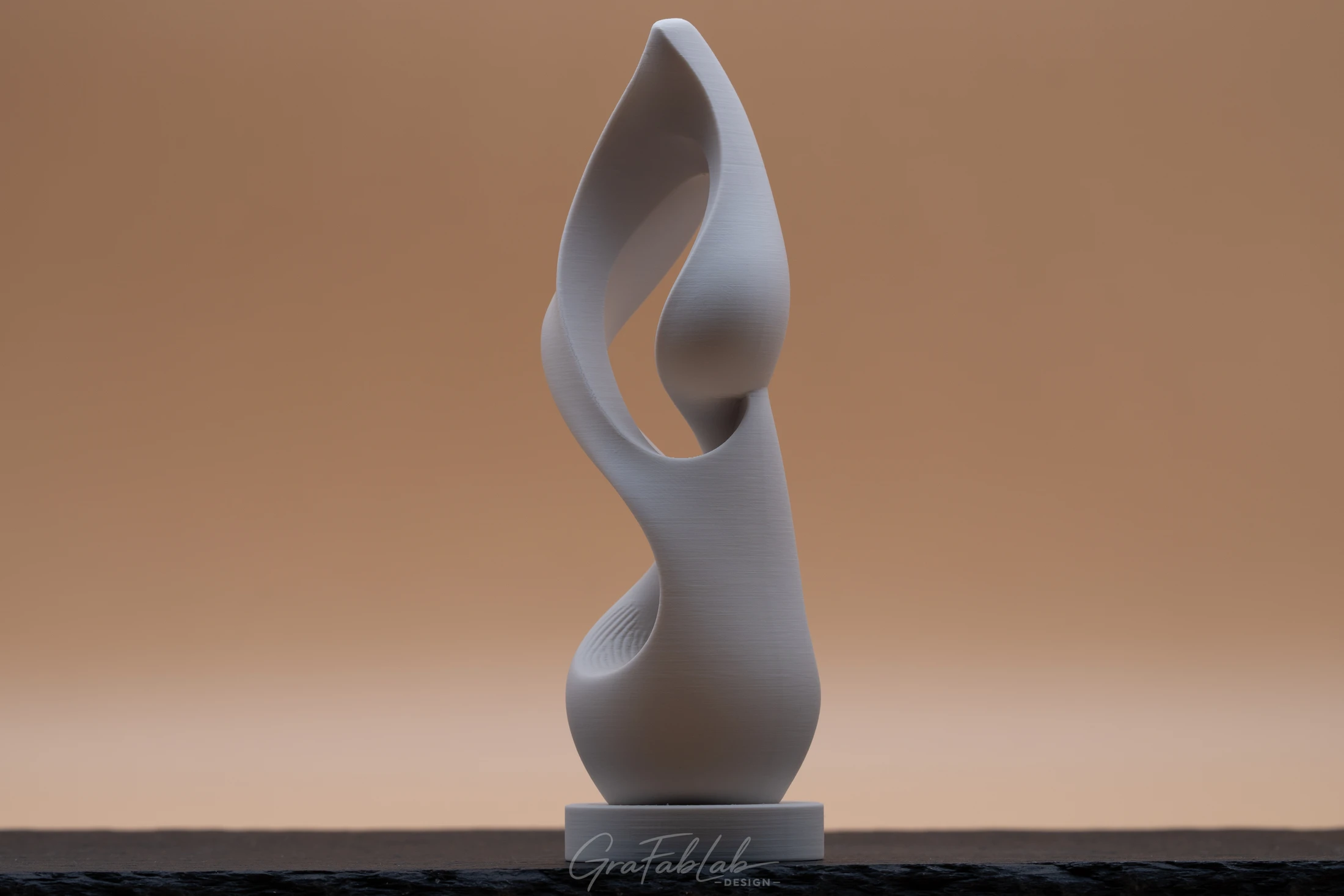 GraFabLab Sculpture 058 - Photo 3