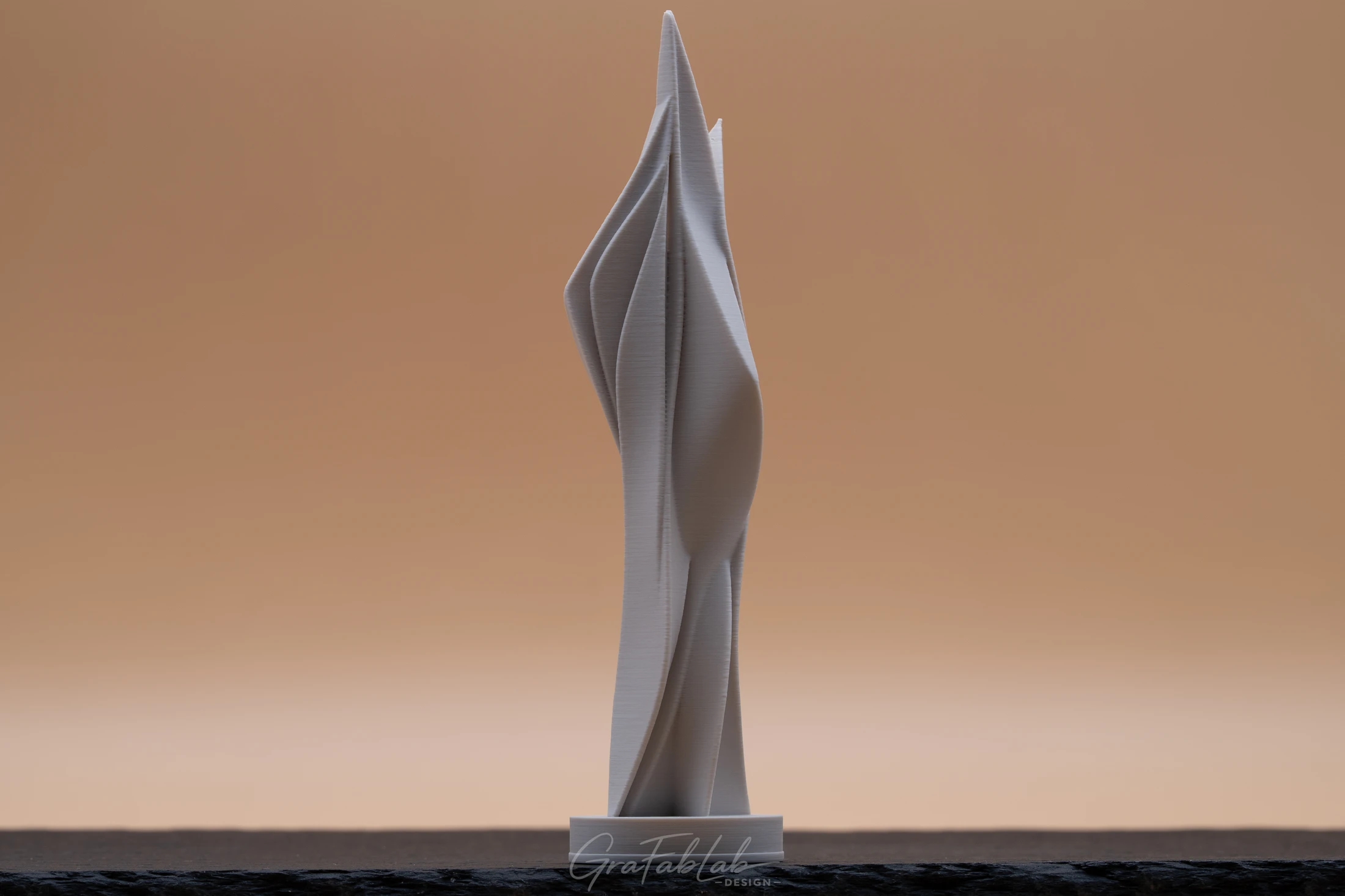 GraFabLab Sculpture 063 - Photo 1