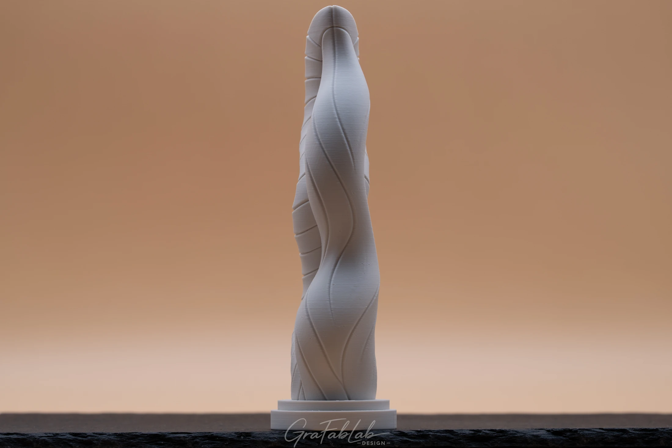 GraFabLab Sculpture 066 - Photo 2
