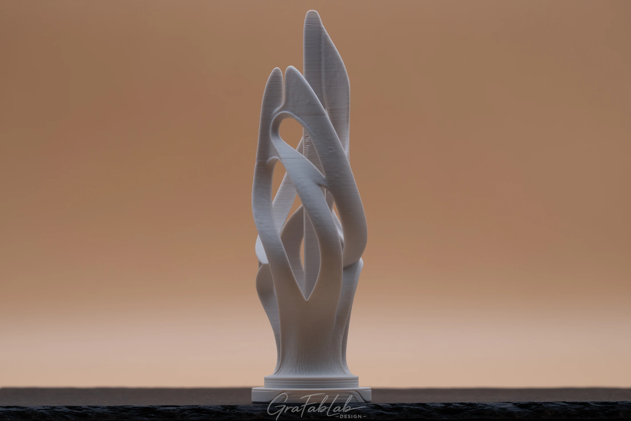 GraFabLab Sculpture 068 - Photo 2