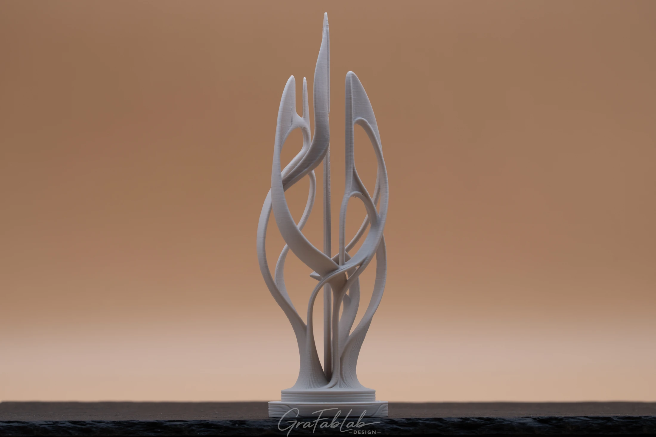 GraFabLab Sculpture 068 - Photo 3